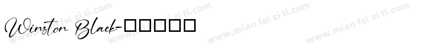 Winston Black字体转换